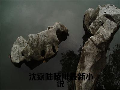  沈窈陆陵川全文免费阅读大结局- 沈窈陆陵川最新章节免费阅读大结局