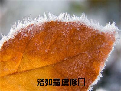 洛如霜虞修璟阅读无弹窗大结局_虞修璟洛如霜穿越小说免费阅读_笔趣阁