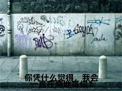 你凭什么觉得，我会一直在原地等你？（时若宸）全文免费阅读无弹窗_（你凭什么觉得，我会一直在原地等你？小说免费阅读）最新章节列表笔趣阁