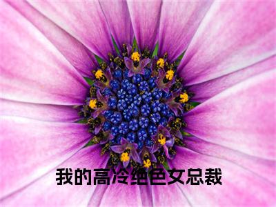 我的高冷绝色女总裁 (陆川)全文免费阅读大结局-陆川最新章节列表免费阅读大结局