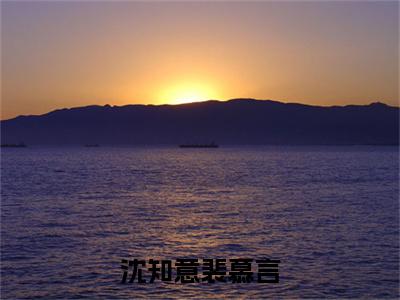 沈知意裴慕言全文免费阅读无弹窗大结局-裴慕言沈知意全文在线阅读