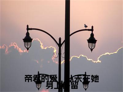 帝君的爱,从未在她身上停留小说全文(瑾颜帝释)完整版阅读-帝君的爱,从未在她身上停留小说全文无删减版