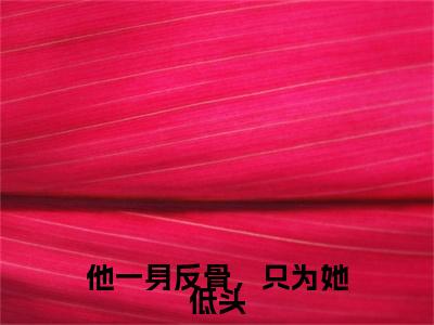 江迟沈优（他一身反骨，只为她低头）全文免费阅读无弹窗大结局_ (江迟沈优小说全文免费阅读)最新章节列表_笔趣阁