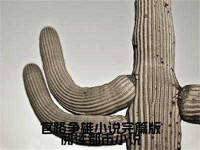  宋立海林可然(官路争雄小说完篇版阅读)小说免费下载全本- 宋立海林可然（官路争雄小说完篇版阅读完整版）免费阅读（ 宋立海林可然）