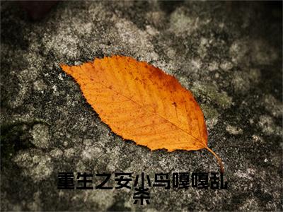 重生之安小鸟嘎嘎乱杀全文( 安陵容甄嬛)全文免费阅读无弹窗大结局_  安陵容甄嬛全文免费阅读最新章节列表_