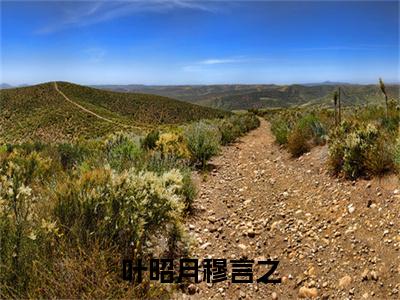 叶昭月穆言之(穆言之叶昭月)全文免费阅读无弹窗大结局_ (穆言之叶昭月小说免费阅读)最新章节列表_笔趣阁