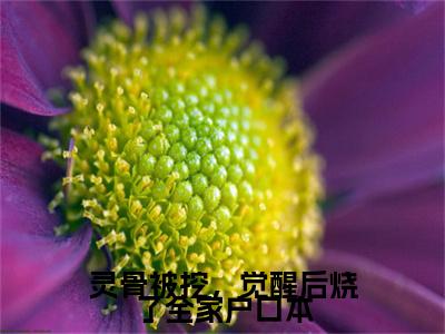 盛灵澜祝九溟(灵骨被挖,觉醒后烧了全家户口本)全文免费阅读大结局_盛灵澜祝九溟(灵骨被挖,觉醒后烧了全家户口本)免费在线阅读_笔趣阁