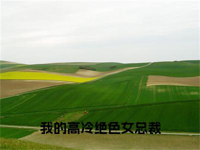 主角为陆川的小说(我的高冷绝色女总裁 )大结局免费阅读-我的高冷绝色女总裁 全文免费阅读笔趣阁
