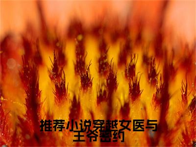 穿越女医与王爷密约全文免费在线阅读_（ 宫楚云宫楚君免费阅读无弹窗）穿越女医与王爷密约全文免费完结版阅读（ 宫楚云宫楚君）