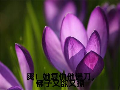 爽!她复仇他递刀,佛子又欲又撩(堂溪梨雍执序)全文免费阅读无弹窗大结局_(爽!她复仇他递刀,佛子又欲又撩)堂溪梨雍执序免费阅读无弹窗最新章节列表_笔趣阁(堂溪梨雍执序)