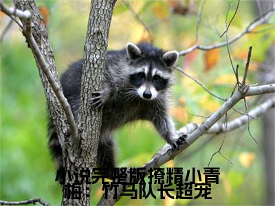  江轶津何汀渔小说（完整版撩精小青梅：竹马队长超宠）全文免费阅读无弹窗大结局_（ 江轶津何汀渔）小说章节列表（完整版撩精小青梅：竹马队长超宠）