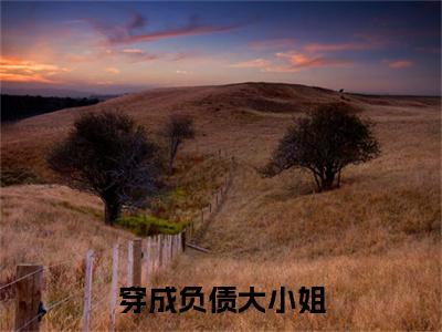 穿成负债大小姐，她算命抓鬼暴富啦（ 霍凝黄秀全文在线阅读）-穿成负债大小姐，她算命抓鬼暴富啦免费阅读