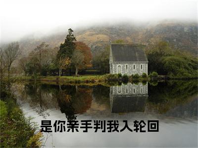 是你亲手判我入轮回 （笙笛薛云风）精选好书-笙笛薛云风无删减版在线阅读（笙笛薛云风全文免费阅读）