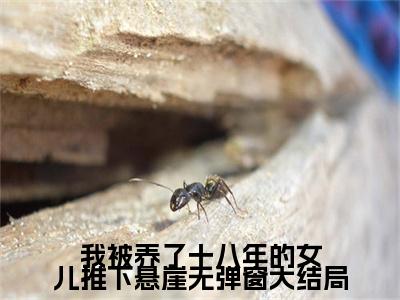 我被养了十八年的女儿推下悬崖（ 苏茹茹方铠之）全文免费阅读_我被养了十八年的女儿推下悬崖全文阅读_笔趣阁（ 苏茹茹方铠之）