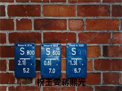 祝玉雯蒋熙光（蒋熙光祝玉雯）全文免费阅读无弹窗大结局_（蒋熙光祝玉雯无弹窗）_笔趣阁