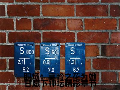  曲知遥苑明皙小说（职场：高岭之花为她甘愿下神坛）完整版大结局-职场：高岭之花为她甘愿下神坛小说免费阅读