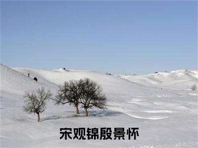 殷景怀宋观锦（宋观锦殷景怀）全文在线阅读无弹窗大结局_(殷景怀宋观锦在线阅读)最新章节列表_笔趣阁（宋观锦殷景怀）