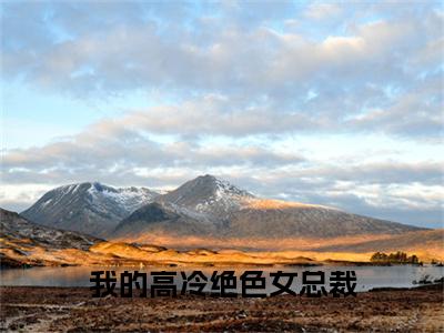 我的高冷绝色女总裁 (陆川小说全文)在线阅读无弹窗大结局-我的高冷绝色女总裁 全文无删减版阅读