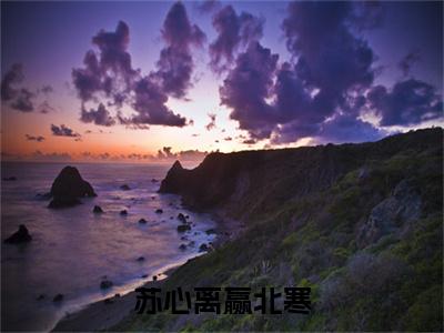 苏心离赢北寒全文免费阅读无弹窗大结局_(苏心离赢北寒)赢北寒苏心离最新章节列表_笔趣阁