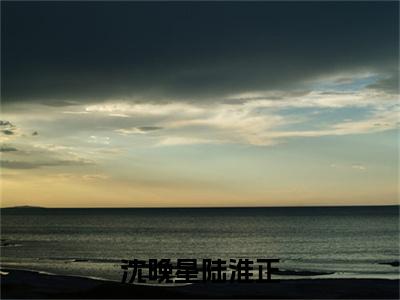 沈晚星陆淮正精彩章节免费阅读_(陆淮正沈晚星)沈晚星陆淮正抖音热推小说最新章节阅读