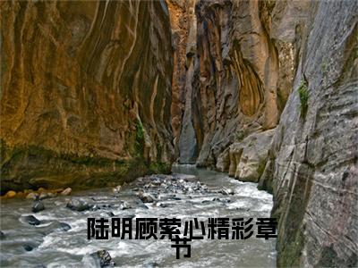  陆明顾萦心小说（神豪：开局继承同学亿亿软妹币已完结小说全集完整版大结局）神豪：开局继承同学亿亿软妹币小说全文阅读笔趣阁