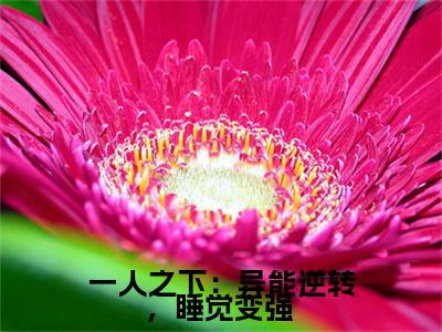 一人之下:异能逆转,睡觉变强 小说最新试读_许一挥是(一人之下:异能逆转,睡觉变强 )_笔趣阁(一人之下:异能逆转,睡觉变强 )