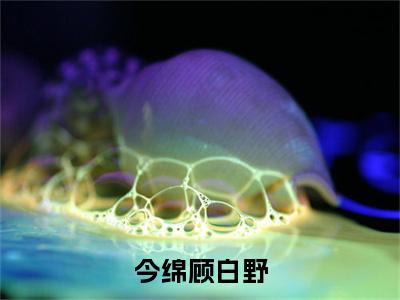 今绵顾白野(顾白野今绵)笔趣阁免费小说_今绵顾白野笔趣阁最新章节顾白野今绵免费在线阅读大结局