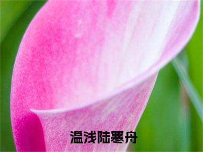 惊！我竟是闪婚上司的白月光( 温浅陆寒舟)全文在线阅读无弹窗_惊！我竟是闪婚上司的白月光小说全文大结局