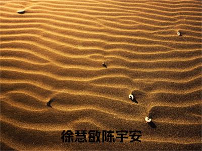 徐慧敏陈宇安热推新书小说全文（陈宇安徐慧敏）全文免费阅读_徐慧敏陈宇安最新章节无弹窗阅读