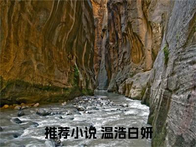 《 温浩白妍》全文免费阅读无弹窗大结局-穿书打脸恋爱脑无弹窗阅读