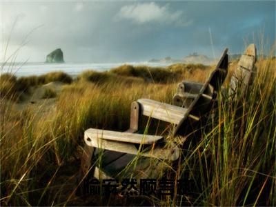 喻安然顾言樾顾言樾喻安然全文免费阅读（顾言樾喻安然免费阅读无弹窗）喻安然顾言樾精彩小说阅读_笔趣阁（顾言樾喻安然）