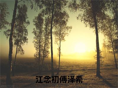 江念初傅泽希傅泽希江念初多人追免费无弹窗小说,傅泽希江念初已完结全集大结局