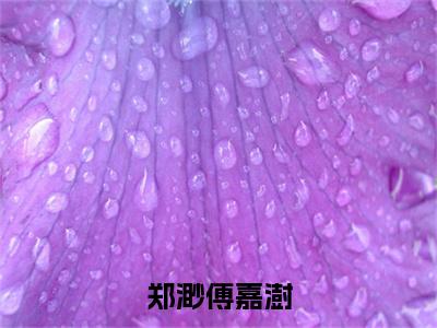 郑渺傅嘉澍已完结小说全集阅读（傅嘉澍郑渺完整版大结局）郑渺傅嘉澍小说全文阅读笔趣阁