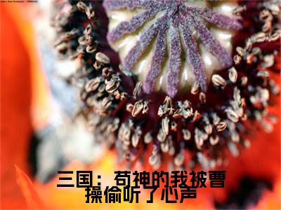 夏侯哲全文免费阅读_（三国：苟神的我被曹操偷听了心声免费阅读无弹窗）夏侯哲最新章节列表笔趣阁（三国：苟神的我被曹操偷听了心声）