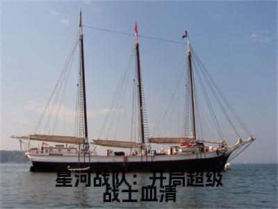 星河战队：开局超级战士血清小说全文免费阅读无弹窗大结局_星河战队：开局超级战士血清最新章节列表_笔趣阁