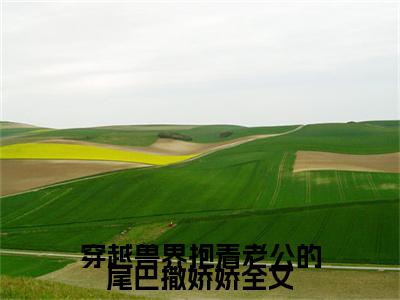  元珈罗阿瓦达快手小说（穿越兽界抱着老公的尾巴撒娇娇全文）txt阅读大结局-抖音近期热门 元珈罗阿瓦达全文免费