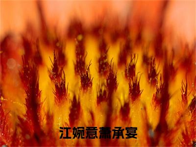 萧承宴江婉意小说免费阅读（萧承宴江婉意）全文免费阅读无弹窗大结局_江婉意萧承宴小说免费阅读最新章节列表_笔趣阁（江婉意萧承宴）
