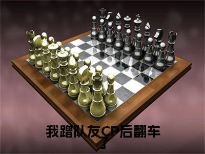 我蹭队友CP后翻车了（夏星河小说全文）在线阅读无弹窗大结局-我蹭队友CP后翻车了全文无删减版阅读