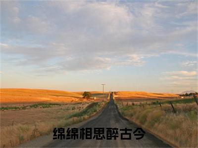 林若尔江辰希免费小说（绵绵相思醉古今）全文无弹窗阅读 林若尔江辰希大结局免费阅读无弹窗