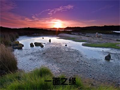 程雁云曲映水小说在线阅读全文无弹窗_一面之缘小说最新全文完整无删减版