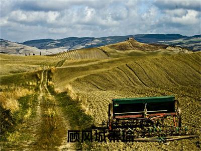 顾风城秦瑜（秦瑜顾风城小说）全文免费阅读无弹窗大结局_顾风城秦瑜最新章节（秦瑜顾风城）