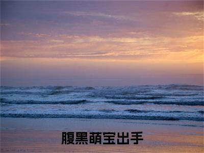 腹黑萌宝出手，皇帝爹爹休想抱娘亲  沈灼萧屹小说（ 沈灼萧屹）全文免费阅读无弹窗大结局_ 沈灼萧屹小说最新章节列表_笔趣阁