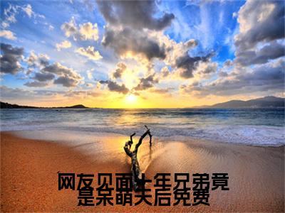 网友见面十年兄弟竟是呆萌天后免费在线阅读（ 苏青宇叶清语）全文免费阅读大结局_网友见面十年兄弟竟是呆萌天后免费免费最新章节列表_笔趣阁
