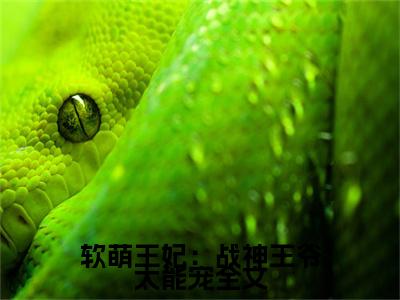 软萌王妃：战神王爷太能宠（ 林霜儿夜北承）热门小说盘点在线阅读-软萌王妃：战神王爷太能宠小说无弹窗