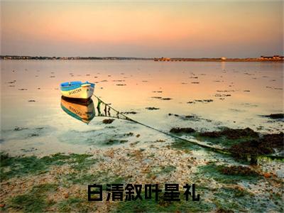 白清叙叶星礼(叶星礼白清叙小说全文)在线阅读无弹窗大结局-白清叙叶星礼全文无删减版阅读