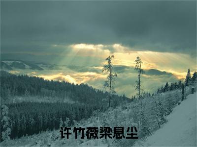 精选小说许竹薇梁息尘（梁息尘许竹薇）全本阅读_梁息尘许竹薇免费阅读_笔趣阁