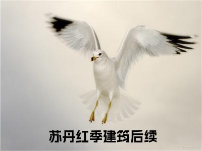 农女小绣娘是个守财奴 苏丹红季建筠全文完整版- 苏丹红季建筠小说在线阅读