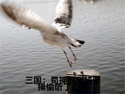 三国：苟神的我被曹操偷听了心声小说全文免费阅读无弹窗大结局-（夏侯哲免费阅读无弹窗）三国：苟神的我被曹操偷听了心声最新章节列表笔趣阁