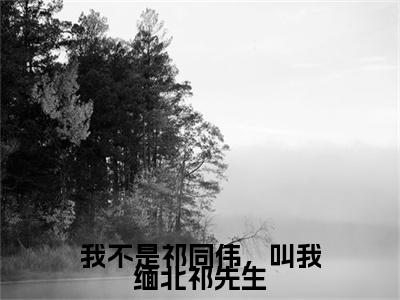 我不是祁同伟，叫我缅北祁先生（祁同玮）最新免费小说-祁同玮（我不是祁同伟，叫我缅北祁先生）全文全章节免费阅读