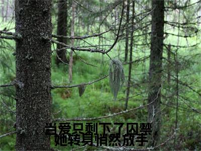 当爱只剩下了囚禁，她转身悄然放手柯北臣蓝琥珀小说-当爱只剩下了囚禁，她转身悄然放手小说免费阅读